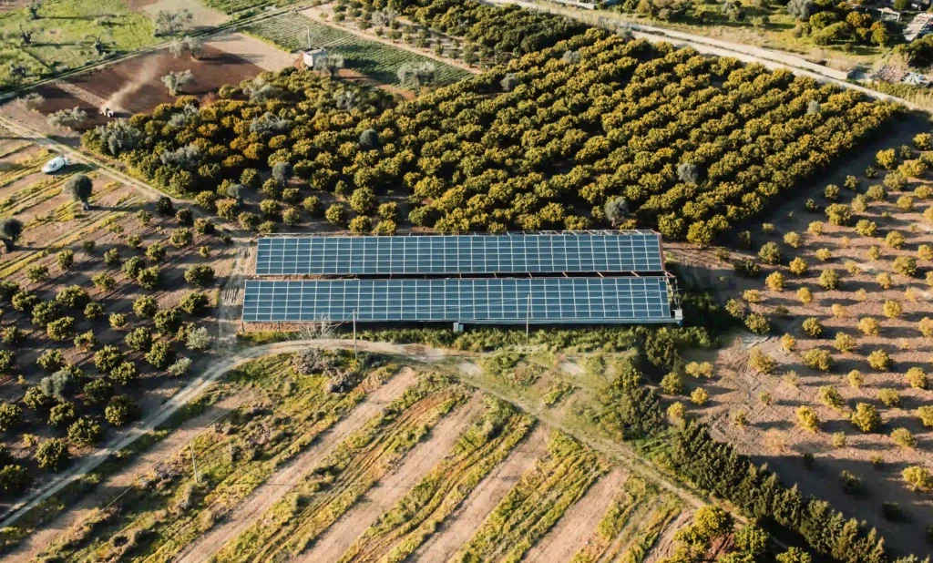 énergie solaire champ